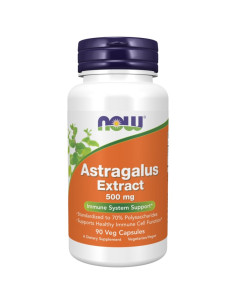 Astragalus Extract 500 mg