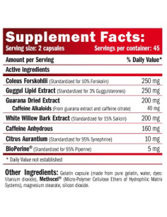 ThermoCore Professional 2