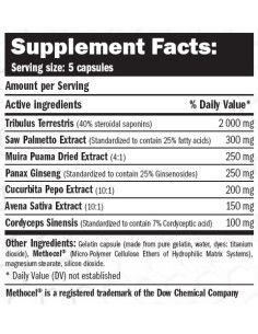 Anabolic Power with Tribusten 2
