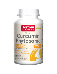 Curcumin Phytosome 500 mg | Meriva