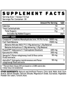 Size V3 | Muscle Builder 2