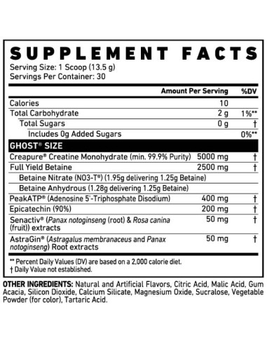 Size V3 | Muscle Builder