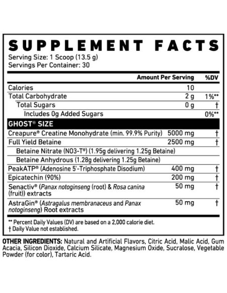 Size V3 | Muscle Builder