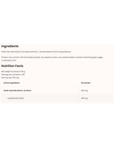 Green Tea Extract / Powder 2
