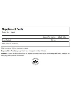 Green Tea 500 mg 2