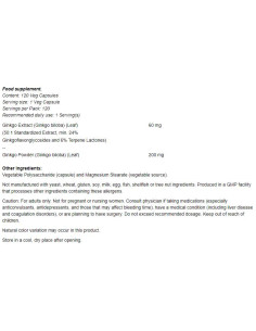 Ginkgo Biloba 60 mg 2