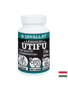 Дихателна система Теснолист живовляк 500 mg х 60 капсули