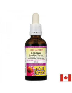 Простуда и грип Echinamide Тинктура с ехинацея 50 ml (без алкохол)