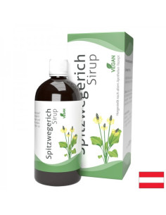 При респираторни проблеми Теснолист живовлек Сироп 200 ml