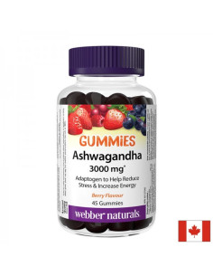 Стрес и добро настроение Ашваганда 200 mg х 45 желирани таблетки, с вкус на горски плодове