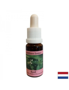 Обединява енергийните центрове, за добро храносмилане Есенция Босилек № 23 капки 15 ml