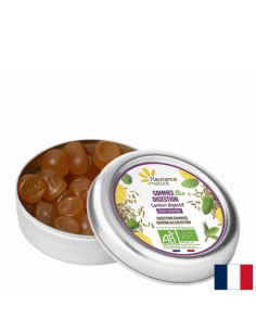 Масла от мента и лимон - екстракт от копър - храносмилане - Подкрепа за стомашно-чревния тракт, Желирани таблетки, 30 g