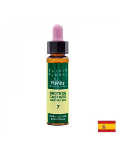 Цветен еликсир от кестенова пъпка – при разсеяност и импулсивност Капки по метода на д-р Бах 10 ml