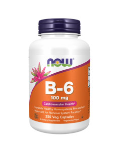Vitamin B-6 100 mg