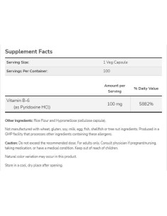 Vitamin B-6 100 mg 2