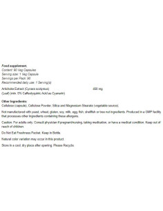 Artichoke Extract 450mg 2