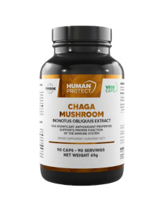 Chaga Mushroom 600 mg