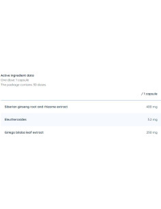 Ginkgo + Ginseng | Ginkgo Biloba 250 mg + Siberian Ginseng 400 mg 2