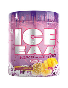ICE EAA