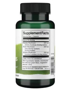 Mood Shrooms | Maitake, Reishi, Shiitake 2