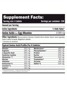 EGG Amino 6000 2