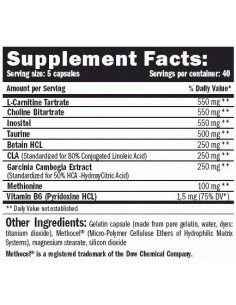 Lipotropic Fat Burner 2