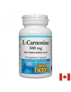 L-Carnosine/ Л-Карнозин 500 mg х 60 капсули