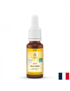 Цветна есенция Шипка (Wild Rose) N37 Жизненост и ангажираност при апатия 20 ml капки