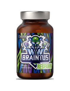 Braintus Respawn / Gamer Series