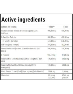 Thermo Fat Burner Max | Strong Extracts 2
