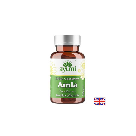 Амла – Имунна защита, храносмилателен комфорт и антиоксидантна подкрепа, 520 mg, 60 капсули