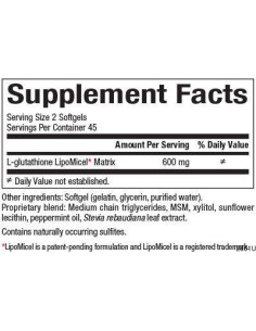 Glutathione LipoMicel Matrix 300 mg 2
