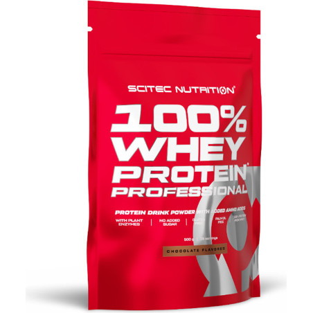 SCITEC 100% Whey Protein Professional / Chocolate Hazelnut / 0.5g.