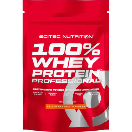 SCITEC 100% Whey Protein Professional / Salted Caramel / 0.5g.