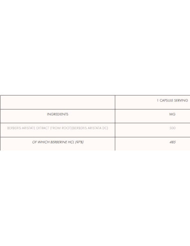 Berberine HCL 500 mg