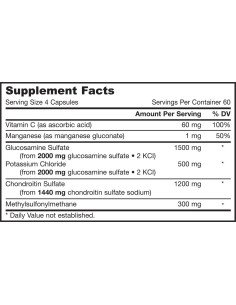 Glucosamine, Chondroitin, MSM 2