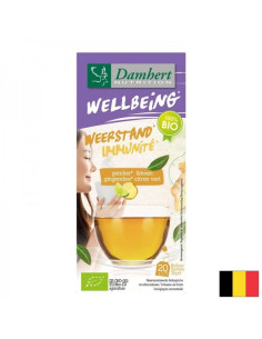 Чай за имунитет с джинджифил и лайм БИО 20 филтърни пакетчета