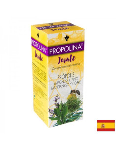 Сироп Propolina С прополис, магнезий, цинк, манган и мед 200 ml