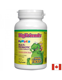 Мулти пробиотик за деца Big Friends 3 млрд. активни пробиотици, 60 g прах, 120 дози