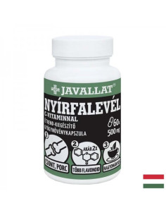 Грижа за кожата и ставите Бяла бреза (лист) + витамин С 60 капсули