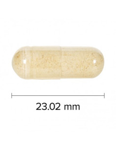 Maca Energy with Ginseng Мака и Корейски женшен 90 капсули 2