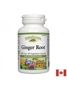 Ginger Root/ Джинджифил (корен) 450 mg х 90 капсули