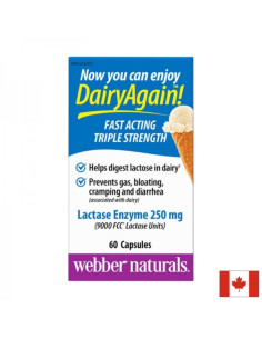 Лактаза ензим - при лактозна непоносимост 250 mg, 60 капсули