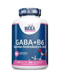 HAYA LABS GABA + B-6 / 500mg. / 100 Vcaps