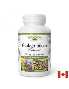 Памет и концентрация Гинко билоба Фитозоми (Phytosome) 60 mg x 60 капсули