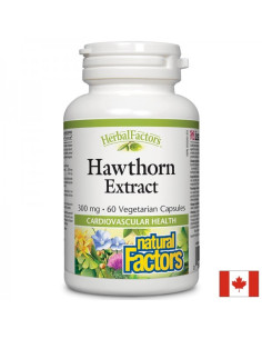 Глог Сила за сърцето, баланс за нервната система 465 mg, 60 капсули