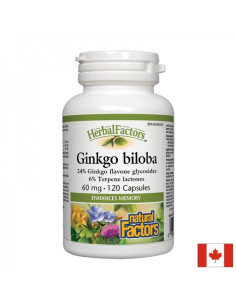 Памет и концентрация Гинко Билоба 60 mg х 120 капсули