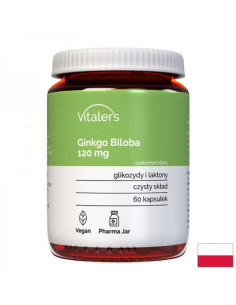 Кръвообращение и мозъчна функция Гинко Билоба 120 mg х 60 капсули