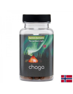 Имунитет и енергия Чага 400 mg х 60 капсули