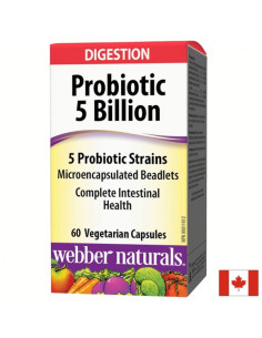 Probiotic/ Пробиотик 5 щама, 5 млрд. активни пробиотици х 60 капсули